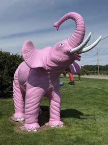 Brix elephant