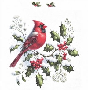 Holiday Cardinal